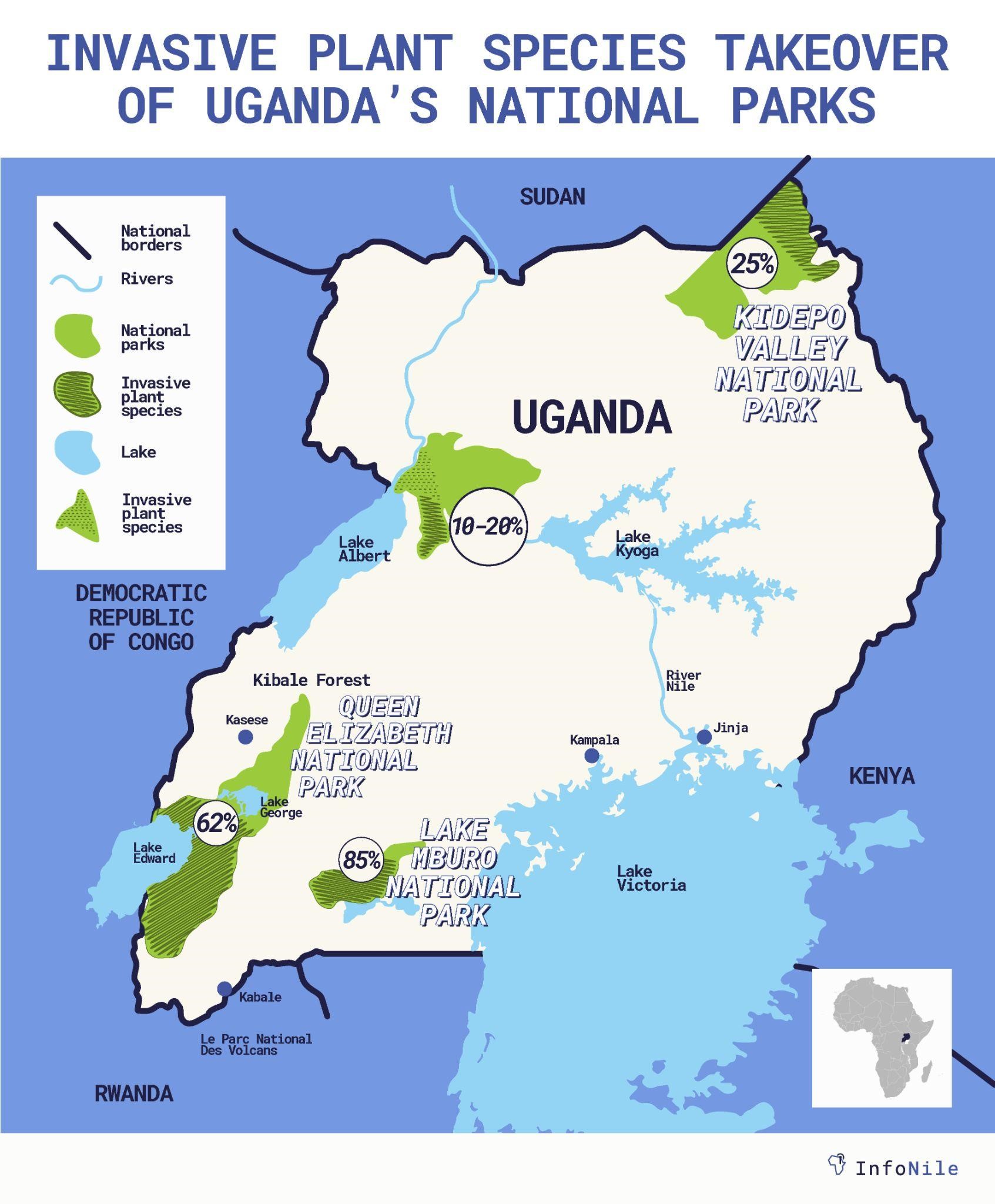 Invasive plants taking over Uganda’s National Parks as climate change ...